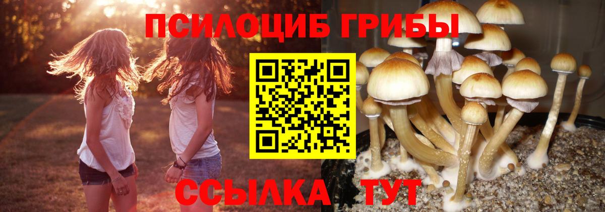 Спасск-Дальний  Галлюциногенные грибы мухоморы  Вход с VPN 